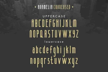 Anamelia Sans Serif Display Font