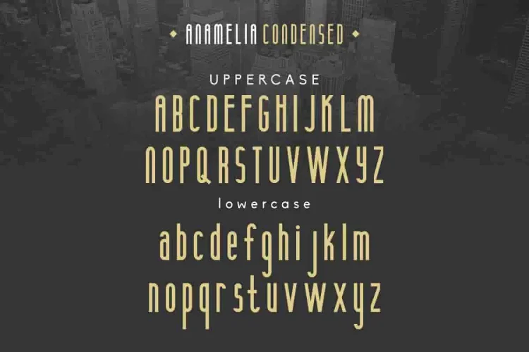 Anamelia Sans Serif Display Font