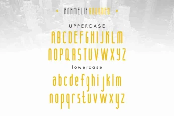 Anamelia Sans Serif Display Font