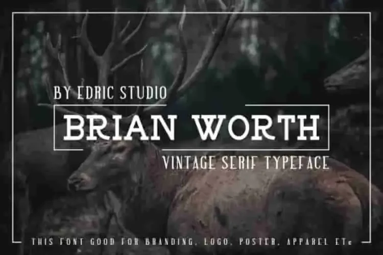 BRIAN WORTH - Vintage Font