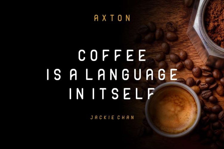 AXTON Sans Serif Fonts - Image 12