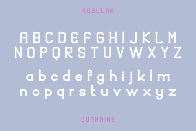 Quamaine Sans and Brush - Image 7