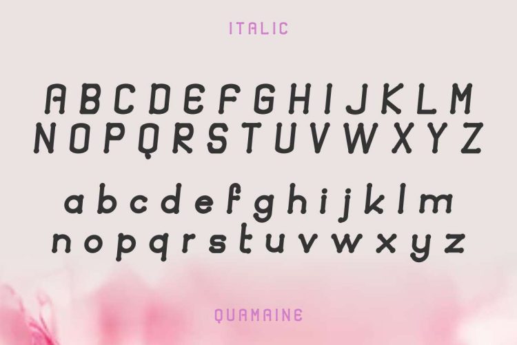 Quamaine Sans and Brush - Image 5