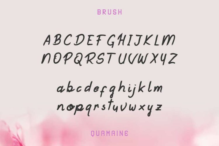 Quamaine Sans and Brush - Image 4