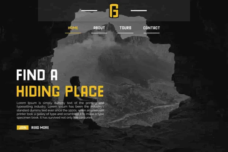GoldinFinance Font