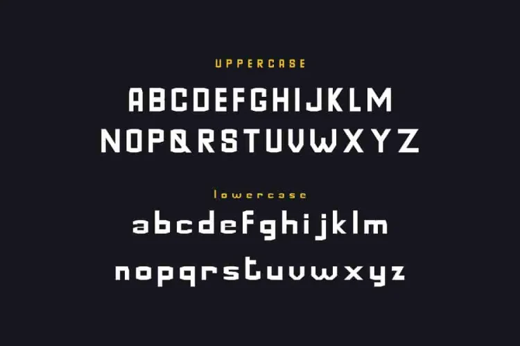GoldinFinance Font