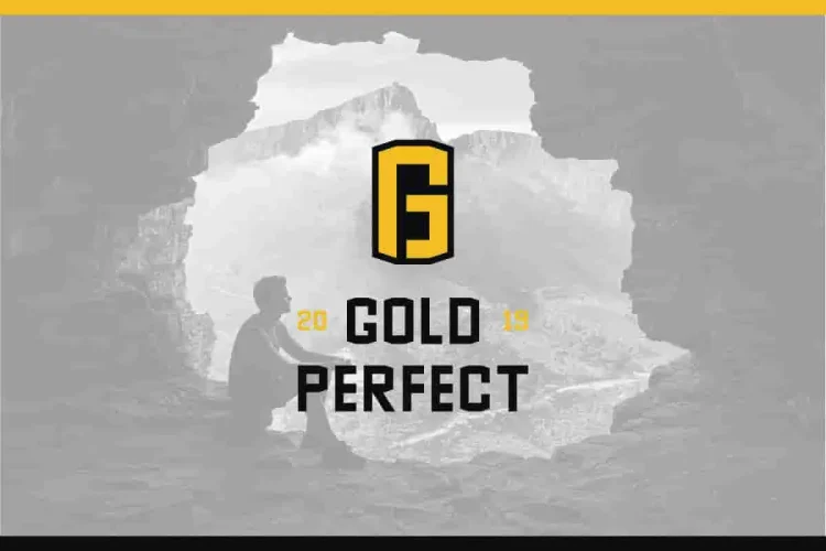 GoldinFinance Font