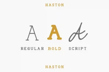 Haston Classic Vintage Font Duo