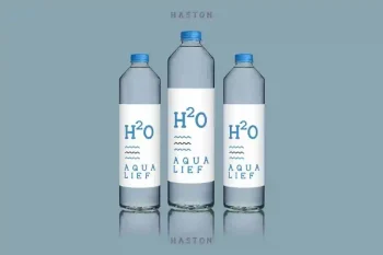 Haston Classic Vintage Font Duo