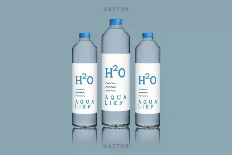 Haston Classic Vintage Font Duo