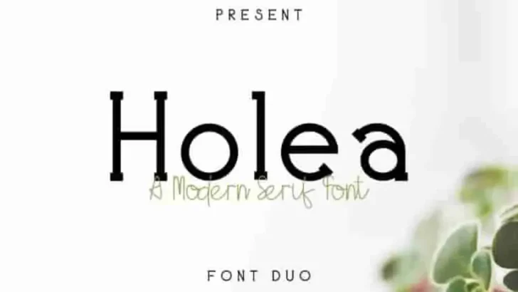 Holea Sans Script Fonts Duo