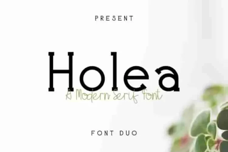 Holea Sans Script Fonts Duo