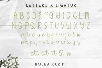 Holea Sans Script Fonts Duo