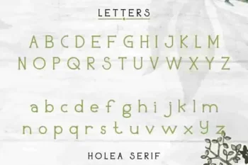 Holea Sans Script Fonts Duo