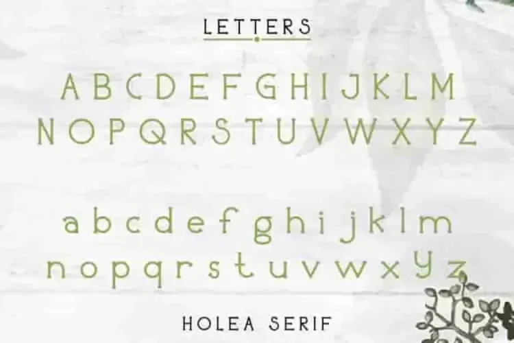 Holea Sans Script Fonts Duo