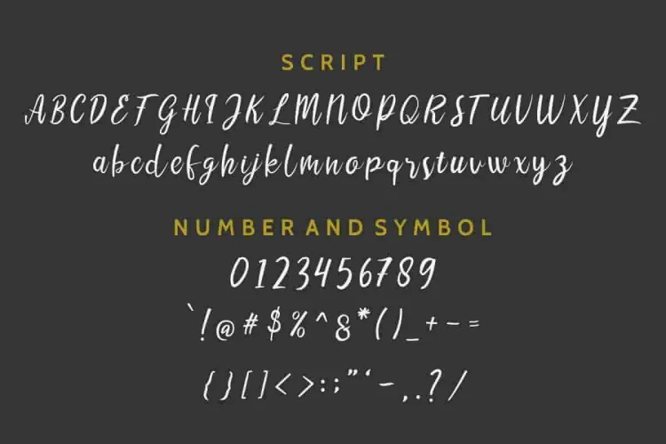 LIONELLO Special Vintage Sans Serif Font