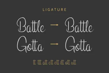 Leonita Calligraphy Font By Edric