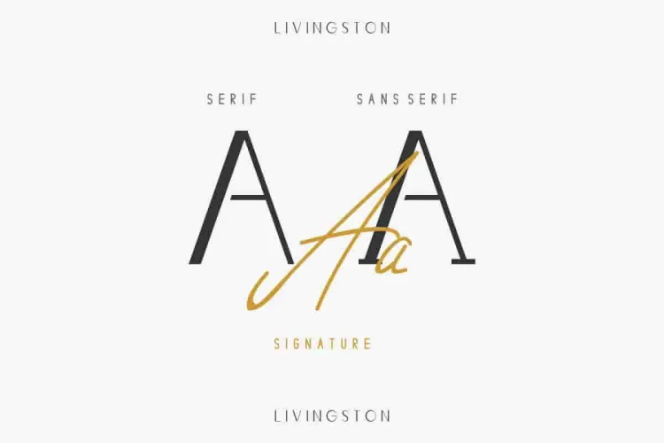 Livingston Script Handwriting Font Trio