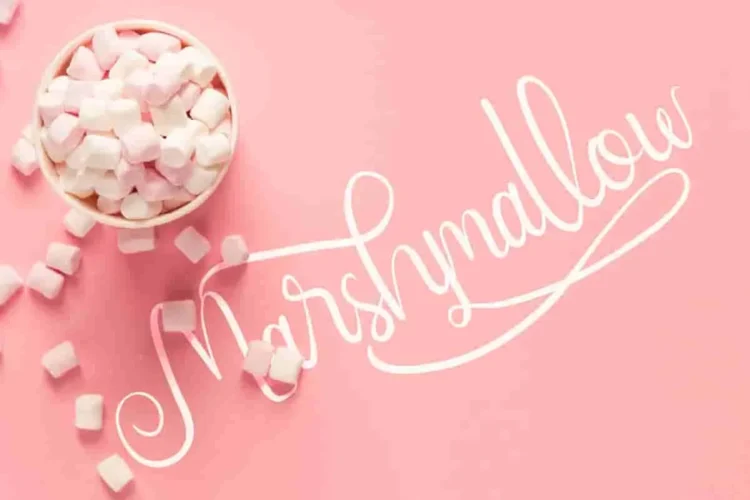NairiAmber Fancy Handwritten Font Duo