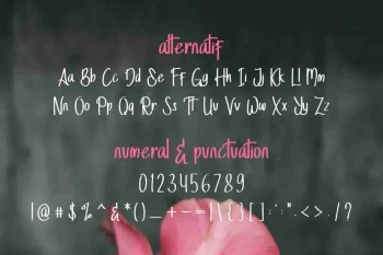 StellaAlpina Graffiti Hand-drawing Font TRIO