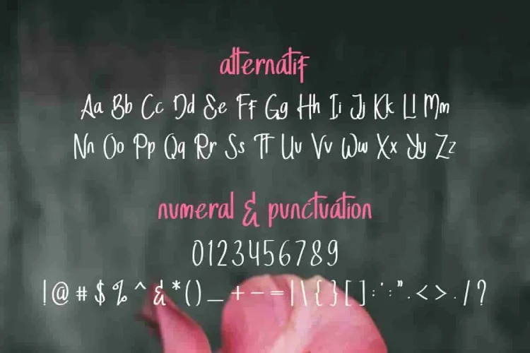 StellaAlpina Graffiti Hand-drawing Font TRIO