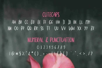 StellaAlpina Graffiti Hand-drawing Font TRIO