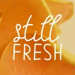 Telly Humble Natural Font Duo