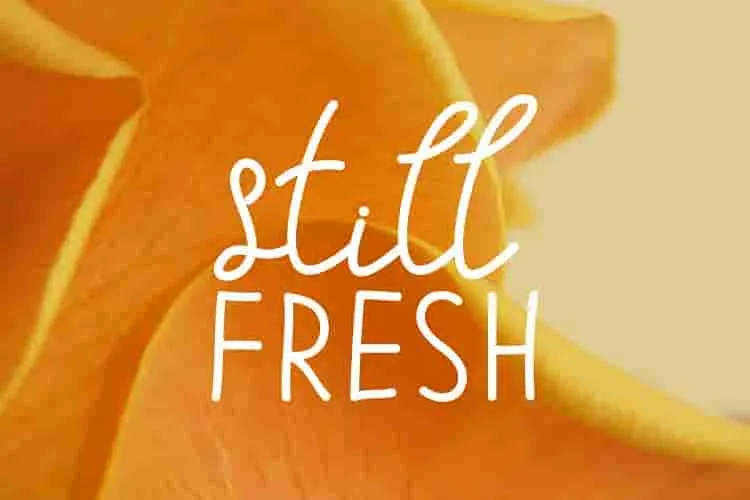 Telly Humble Natural Font Duo