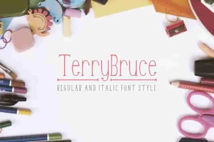 TerryBruce Sans Serif Fonts