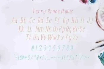 TerryBruce Sans Serif Fonts