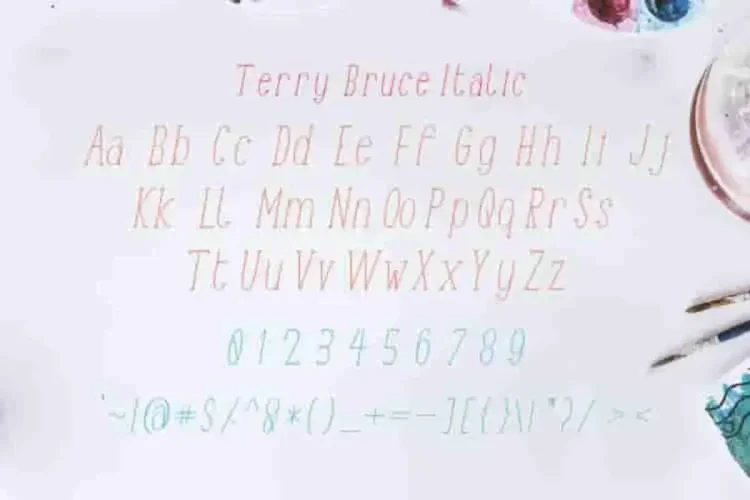 TerryBruce Sans Serif Fonts