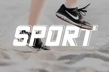 The Champ Sans Serif Fonts
