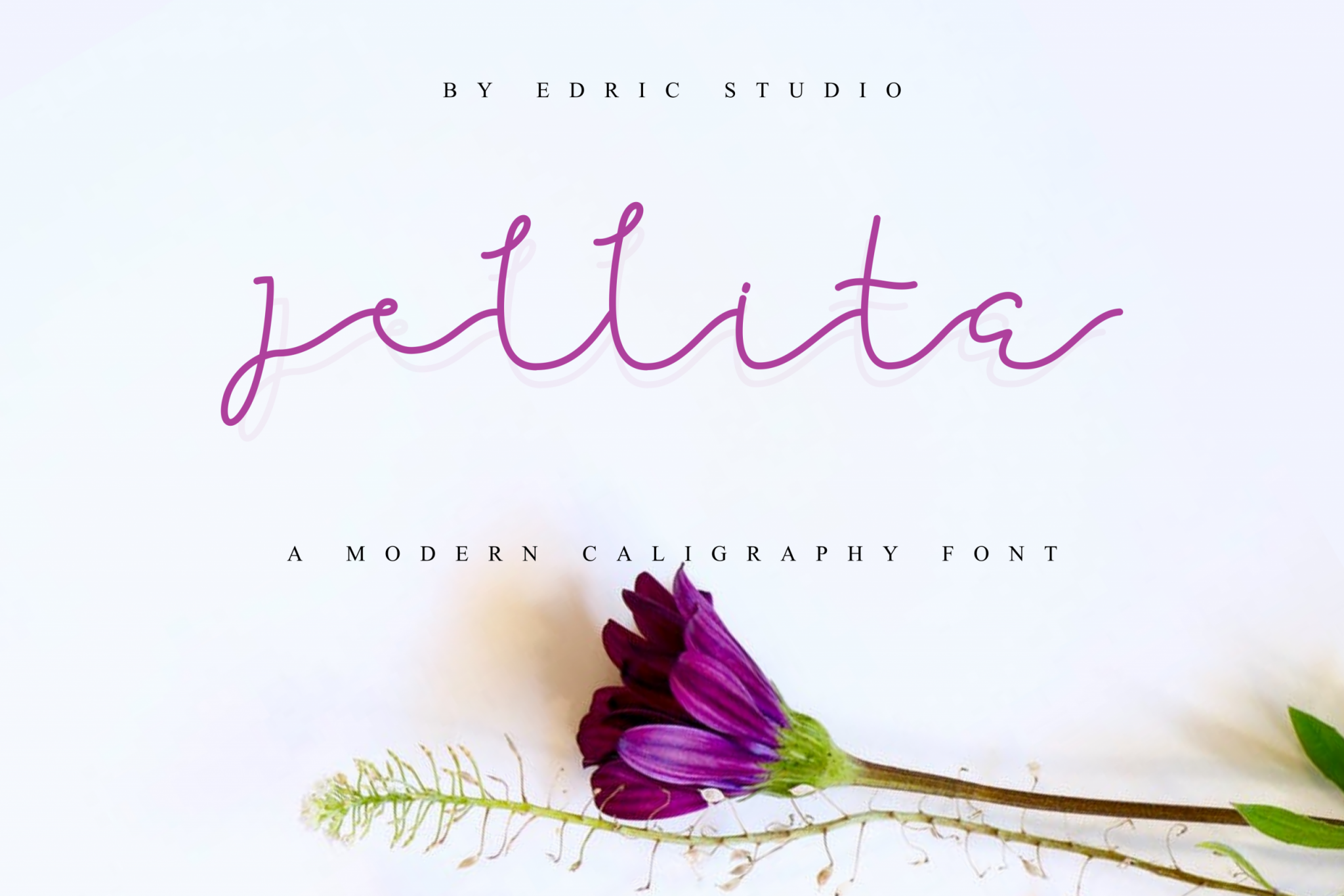 Jellita Calligraphy Font by EdricStudio