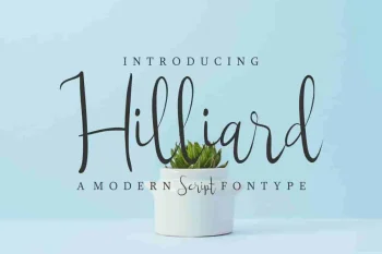 Hilliard Script Typeface Font