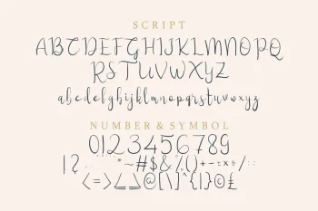 Hilliard Script Typeface Font