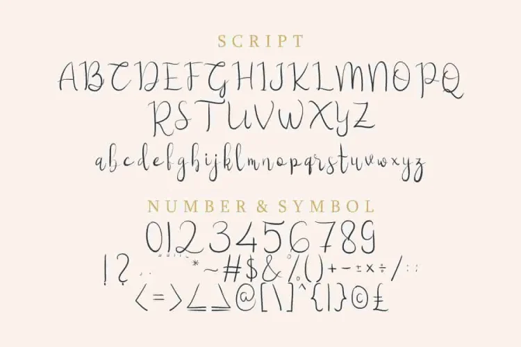 Hilliard Script Typeface Font