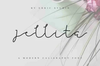 Jellita Calligraphy Script Font