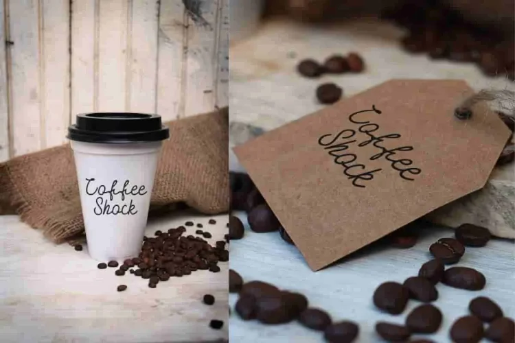 Keira Dreamer Modern Font Duo