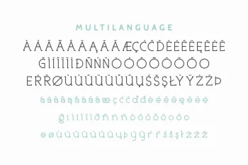 Nicolls Display Font Family