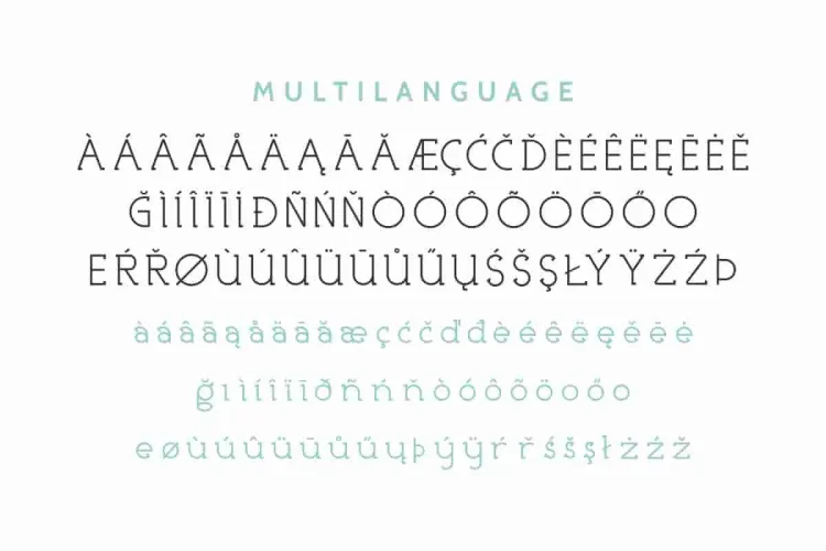 Nicolls Display Font Family