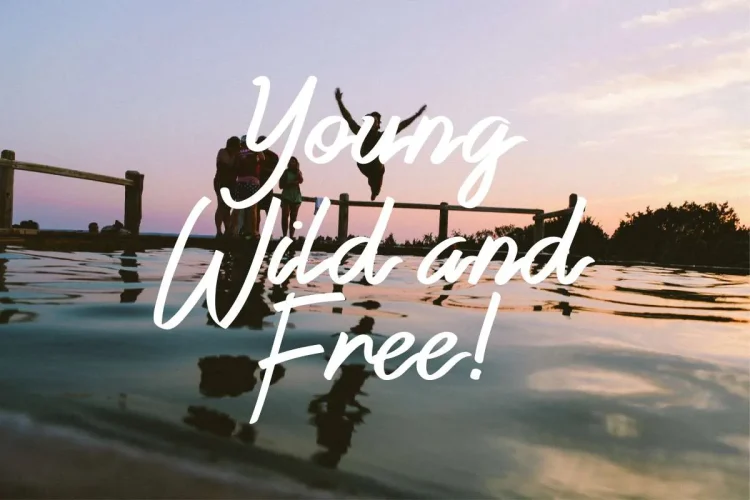 Reyburn Modern Family 4 Fonts