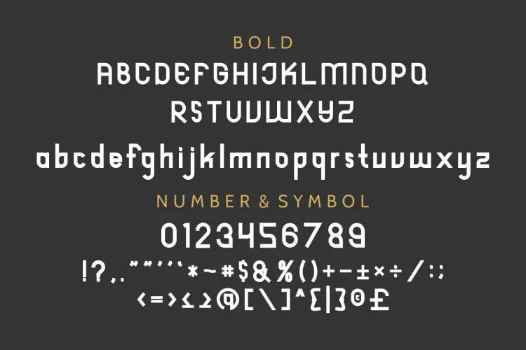 Reyburn Modern Family 4 Fonts