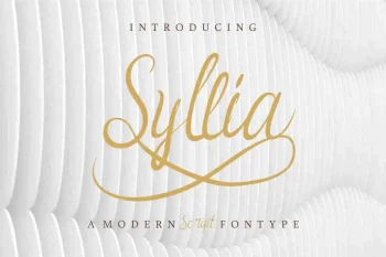 Syllia Calligraphy Script Font