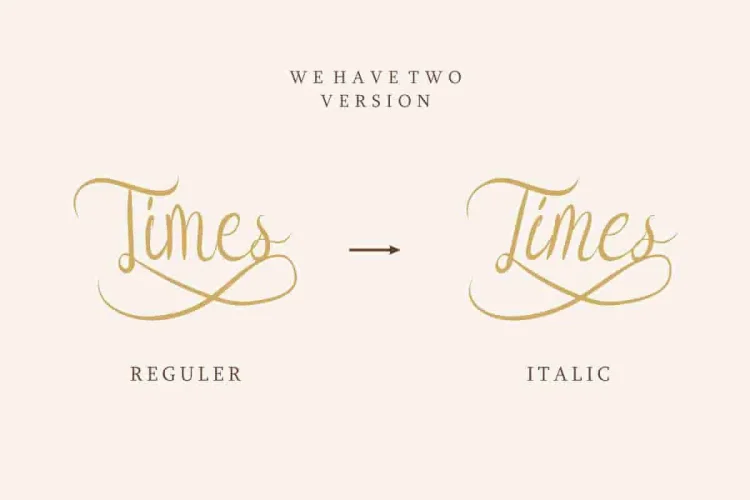 Syllia Calligraphy Script Font
