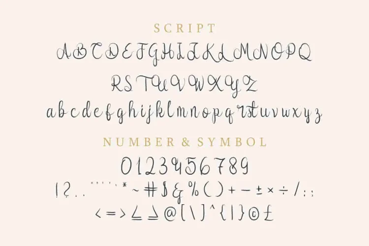 Syllia Calligraphy Script Font