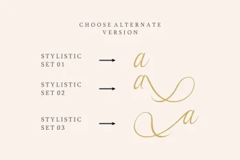 Syllia Calligraphy Script Font