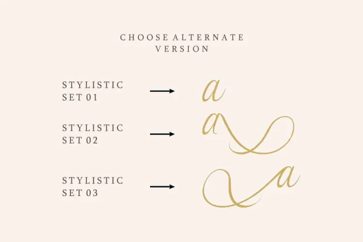 Syllia Calligraphy Script Font