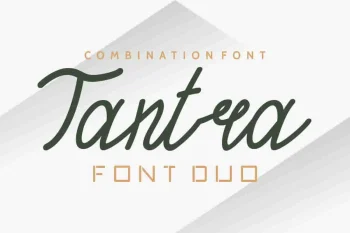 TANTRA Sans Script Font Trio
