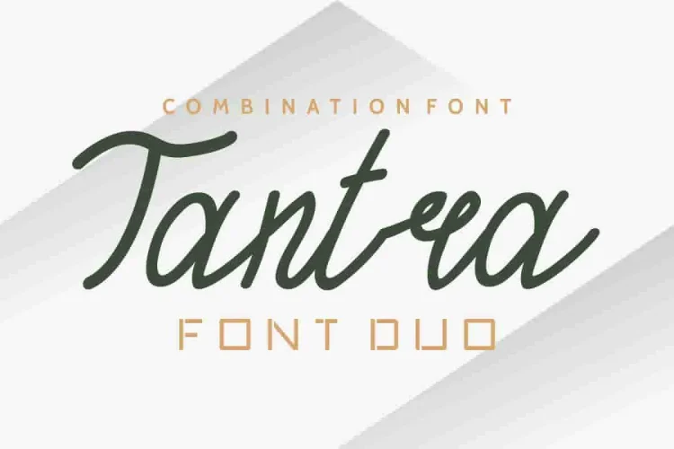 TANTRA Sans Script Font Trio