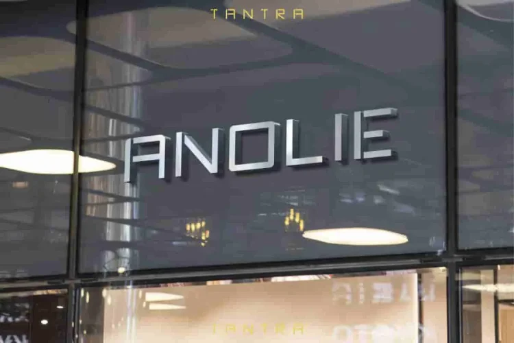 TANTRA Sans Script Font Trio